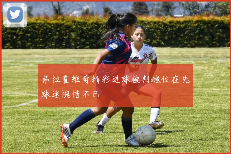 弗拉霍维奇精彩进球被判越位在先球迷惋惜不已