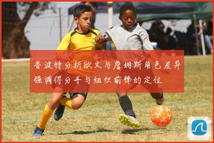 香波特分析欧文与詹姆斯角色差异强调得分手与组织前锋的定位